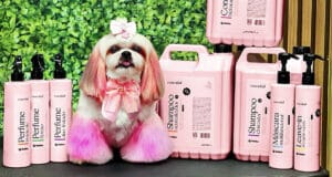 Linha Essencial - bUBBLES - Pet Wow Distribuidora