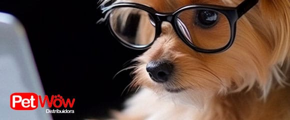 Pet Wow Distribruidora