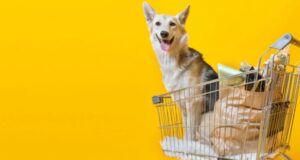 Por Que Investir no Mercado Pet? Veja 6 Motivos Essenciais