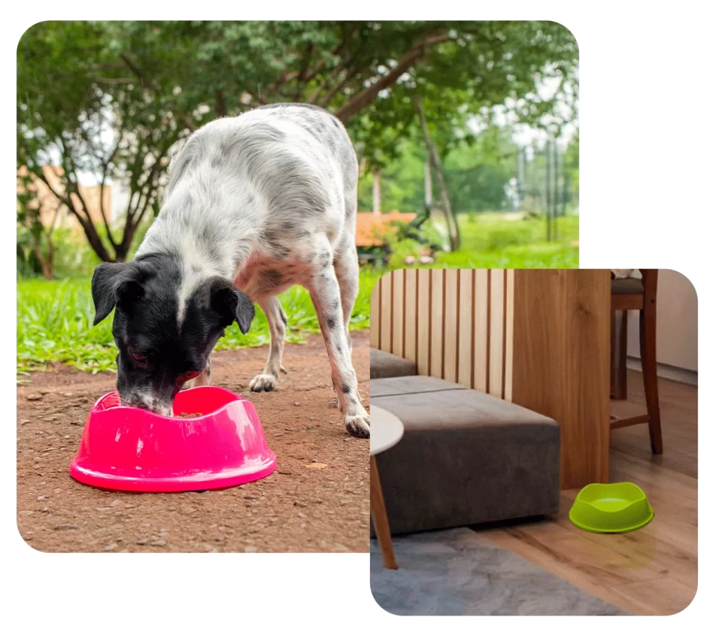 Stark Pet - Comedouros para cães e gatos
