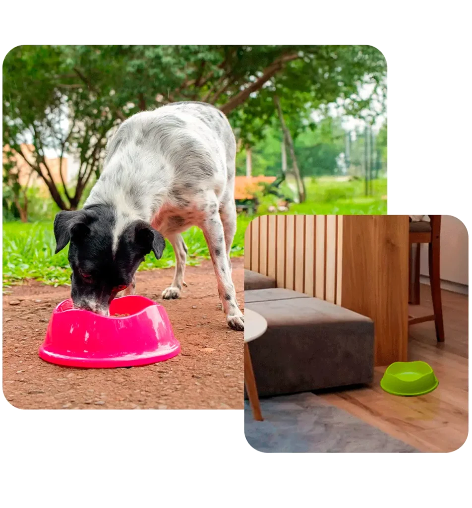 Produtos Stark Pet para cães e gatos, incluindo comedouros, brinquedos e acessórios para pets.